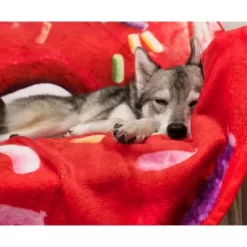 Toynk Sprinkle Donut Round Fleece Throw Blanket | 60 Inches -Home Decoration Store GUEST 0376ae77 27b1 44e2 a1d3 a869f0af27d1