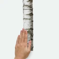 15" X 86" Realistic Birch Trees Peel And Stick Giant Wall Decal - RoomMates 10 15" X 86" Realistic Birch Trees Peel And Stick Giant Wall Decal - RoomMates -Home Decoration Store GUEST 2168317f 79f3 447a 8795 2bafea94eadb