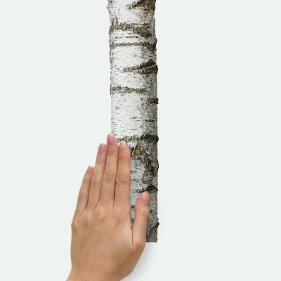 15" X 86" Realistic Birch Trees Peel And Stick Giant Wall Decal - RoomMates 5 15" X 86" Realistic Birch Trees Peel And Stick Giant Wall Decal - RoomMates - Image 5