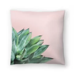 Suculent On Pink By Tanya Shumkina Throw Pillow - Americanflat -Home Decoration Store GUEST 421cb3a4 6bdb 48d8 b08a f89532ab1cc4