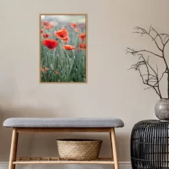 16" X 23" Poppies In Bloom By Brent Bergherm Danita Delimont Framed Canvas Wall Art - Amanti Art -Home Decoration Store GUEST 45272054 9cc0 40f1 af03 2b230222fdef