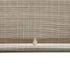 Caravel Cord-Free PVC Premium Rollup Blinds Driftwood - Radiance