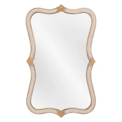 Hillegass Decorative Wall Mirror Gold - ZM Home