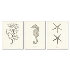 Set Of 3 Canvas Prints Costal Canvas Wall Art Set - Americanflat -Home Decoration Store GUEST 5444700e 89e2 4687 aaef af30d39ade82