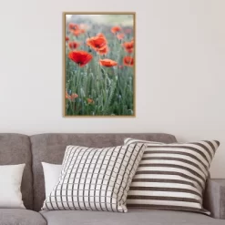 16" X 23" Poppies In Bloom By Brent Bergherm Danita Delimont Framed Canvas Wall Art - Amanti Art -Home Decoration Store GUEST 5936bd63 25e8 4c29 8552 30f8b0e82f83