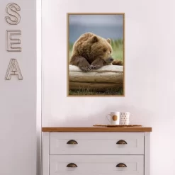 16" X 23" Bear Resting On A Beached Log By Paul Souders Danita Delimont Framed Canvas Wall Art Brown - Amanti Art -Home Decoration Store GUEST 5e8af548 5a94 4c0f 8758 cc71c7c45dfb