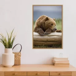 16" X 23" Bear Resting On A Beached Log By Paul Souders Danita Delimont Framed Canvas Wall Art Brown - Amanti Art -Home Decoration Store GUEST 8b797265 a787 4a44 ba1c ebf9c2c3e0ed
