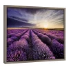 24"x18" Lavender Sunrise Framed Canvas Wall Art - Amanti Art