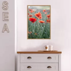 16" X 23" Poppies In Bloom By Brent Bergherm Danita Delimont Framed Canvas Wall Art - Amanti Art -Home Decoration Store GUEST bc020e01 b27e 4a94 9655 83700032c59a