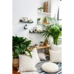 Command Display Ledges -Home Decoration Store GUEST bd1662a3 9fc3 4b41 9c0d d7ef5397777c