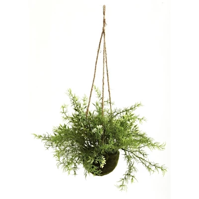 Nearly Natural 9-in Ruscus, Sedum & Springeri Hanging Basket (Set Of 3) 1 Nearly Natural 9-in Ruscus, Sedum & Springeri Hanging Basket (Set Of 3)