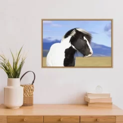 23" X 16" Icelandic Horse By Peter Langer Danita Delimont Framed Canvas Wall Art - Amanti Art -Home Decoration Store GUEST d946bf7a e7f0 43e4 9432 89ce78f36e5c