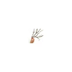 Blossom Branch Peel And Stick Giant Wall Decal With Flower Embellishments White - RoomMates -Home Decoration Store GUEST e164961a 9b3a 4832 b1be ca4fe5839329