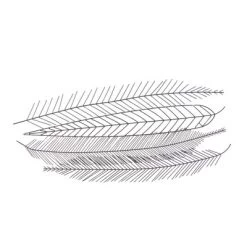 Metal Bird Feather Wall Decor - CosmoLiving By Cosmopolitan -Home Decoration Store GUEST e496f18e bbe6 4b13 9cf3 06f25dd9c950