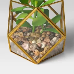5" X 4" Artificial Succulent Plant With Brass Terrarium - Threshold™ 5 5" X 4" Artificial Succulent Plant With Brass Terrarium - Threshold™ -Home Decoration Store GUEST e581f30b 3349 4561 94cd 4b256f51db66