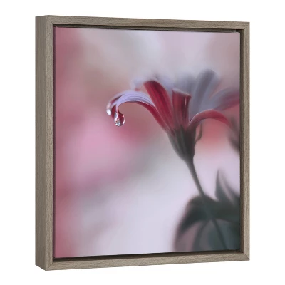22" X 22" Invisible Touch Framed Canvas Wall Art - Amanti Art 1 22" X 22" Invisible Touch Framed Canvas Wall Art - Amanti Art