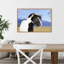 23" X 16" Icelandic Horse By Peter Langer Danita Delimont Framed Canvas Wall Art - Amanti Art -Home Decoration Store GUEST f38b4511 3ebb 4e01 ab40 81e6f10d5b9b